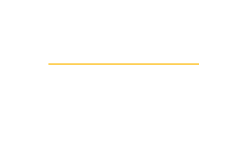 UNG Logo